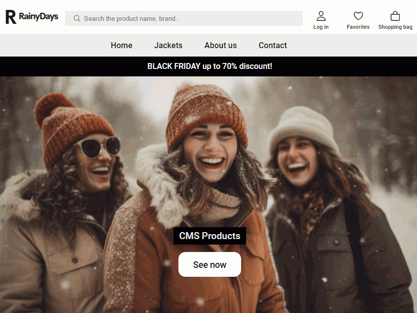 Picture of online shop - Rainy-Days.